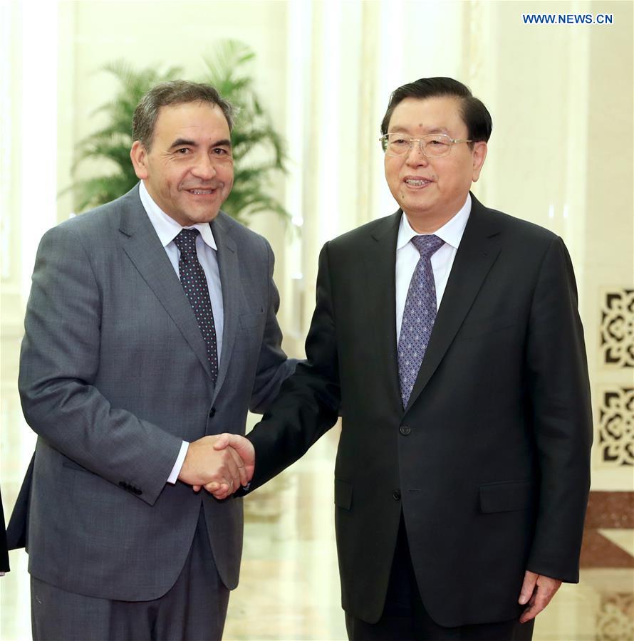 CHINA-BEIJING-ZHANG DEJIANG-CHILE-MEETING (CN)