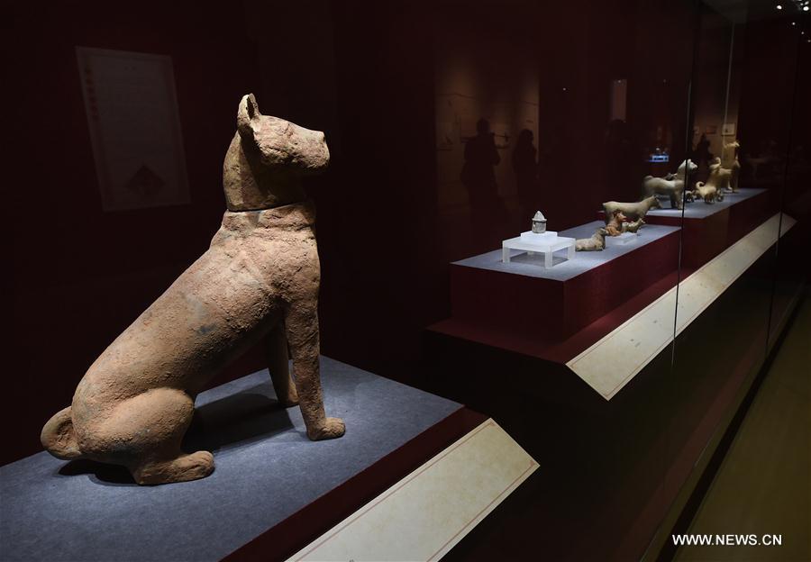 CHINA-NANJING-MUSEUM-DOG(CN)