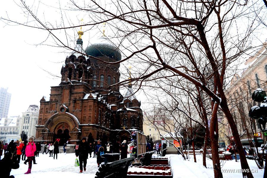 CHINA-HARBIN-SNOW (CN)