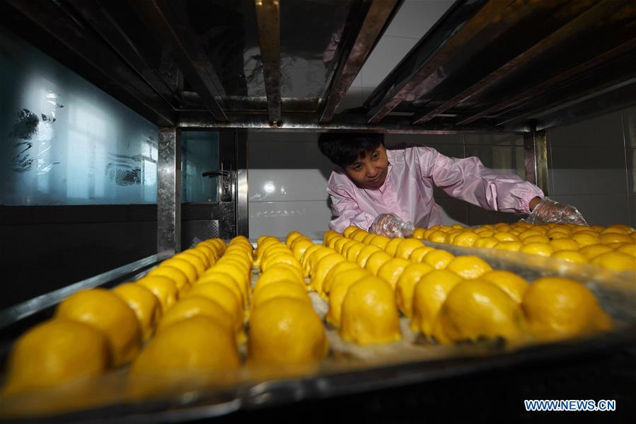 CHINA-JILIN-SIPING-COOPERATIVE (CN)