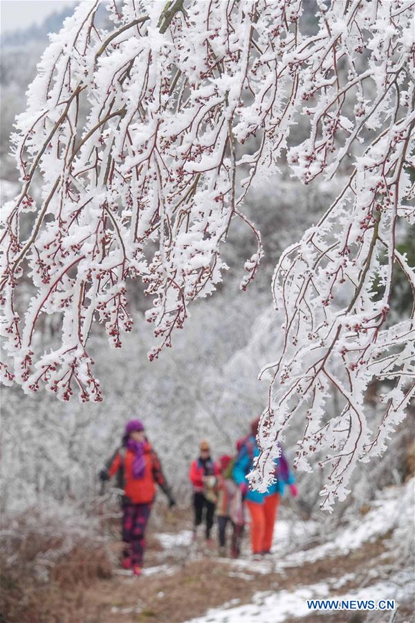 #CHINA-GUIYANG-FROST SCENERY (CN)