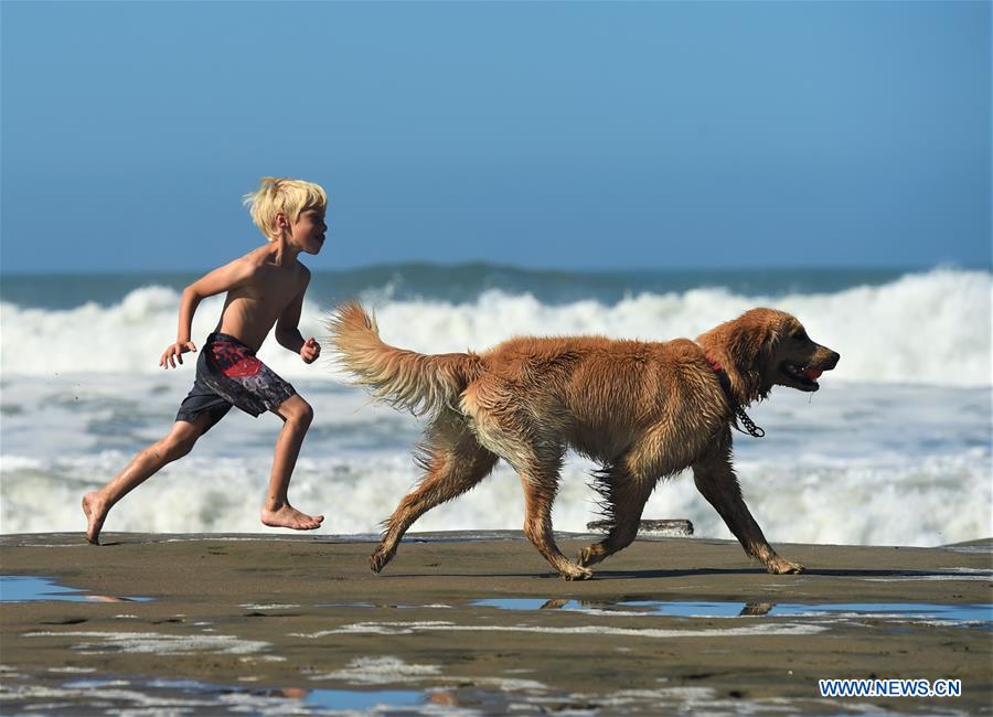 CHINA-DOG OF YEAR-APPROACHING (CN)