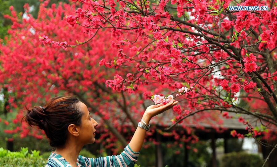 NEPAL-KATHMANDU-SPRING-DAILY LIFE