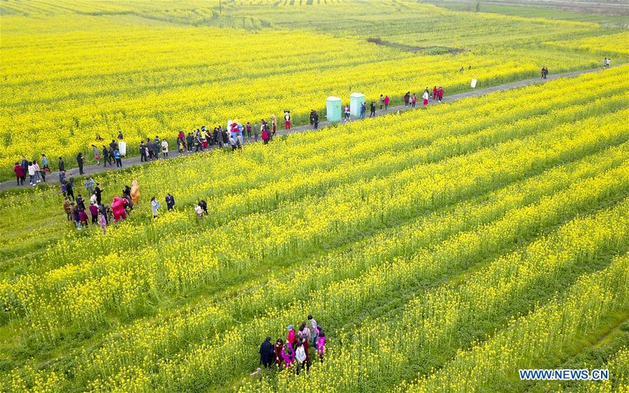 #CHINA-SPRING-SCENERY (CN)