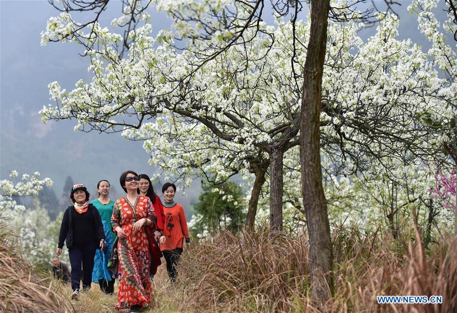 CHINA-SICHUAN-SPRING VIEWS (CN)