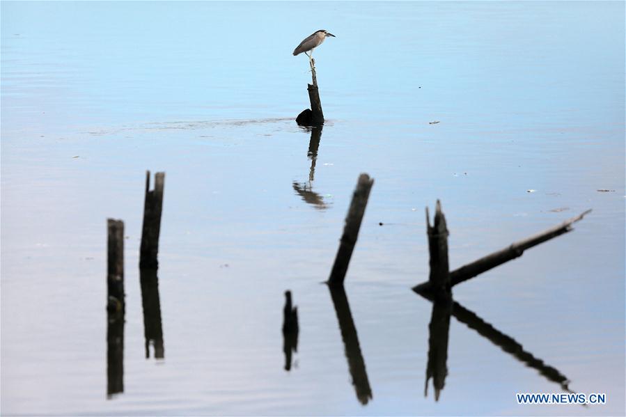 XINHUA PHOTO WEEKLY CHOICES (CN)