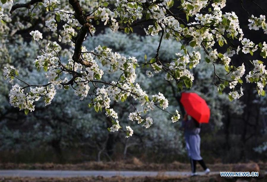 XINHUA PHOTO WEEKLY CHOICES (CN)