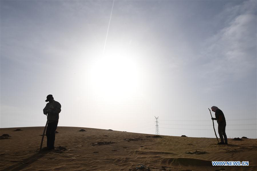 CHINA-INNER MONGOLIA-KUBUQI DESERT-WORKERS (CN)