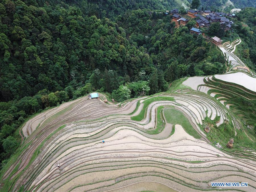 CHINA-GUIZHOU-RONGJIANG-TERRACE SCENERY (CN)