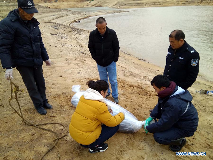 CHINA-JIANGXI-NANCHANG-FINLESS PORPOISES-PROTECTION (CN)