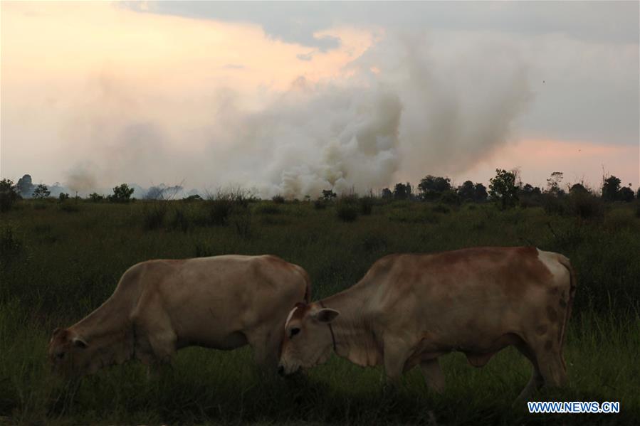 INDONESIA-RIAU-FOREST FIRE