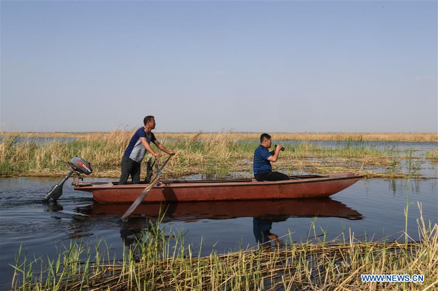 CHINA-INNER MONGOLIA-BAYAN NUR-BIRDS-PROTECTION(CN)