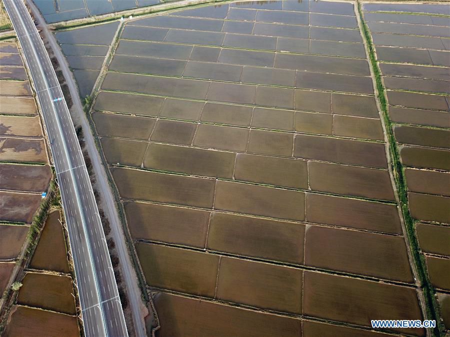 CHINA-YINCHUAN-PADDY FIELD (CN)