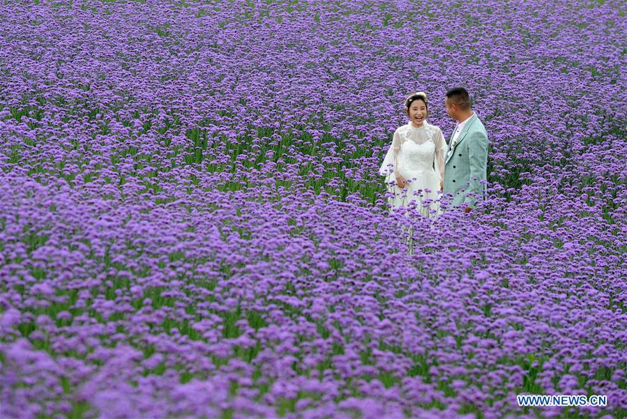 CHINA-GUIZHOU-WASTELAND-SCENIC SPOT (CN)