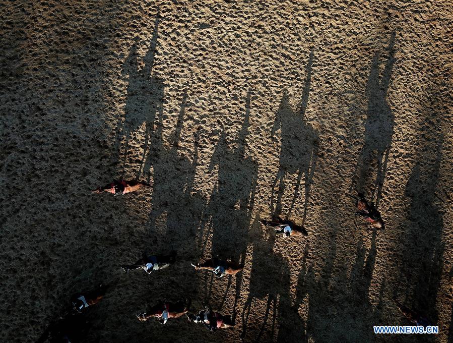 #CHINA-HEBEI-PERFORMANCE-EQUESTRIANISM-TRAINING (CN)