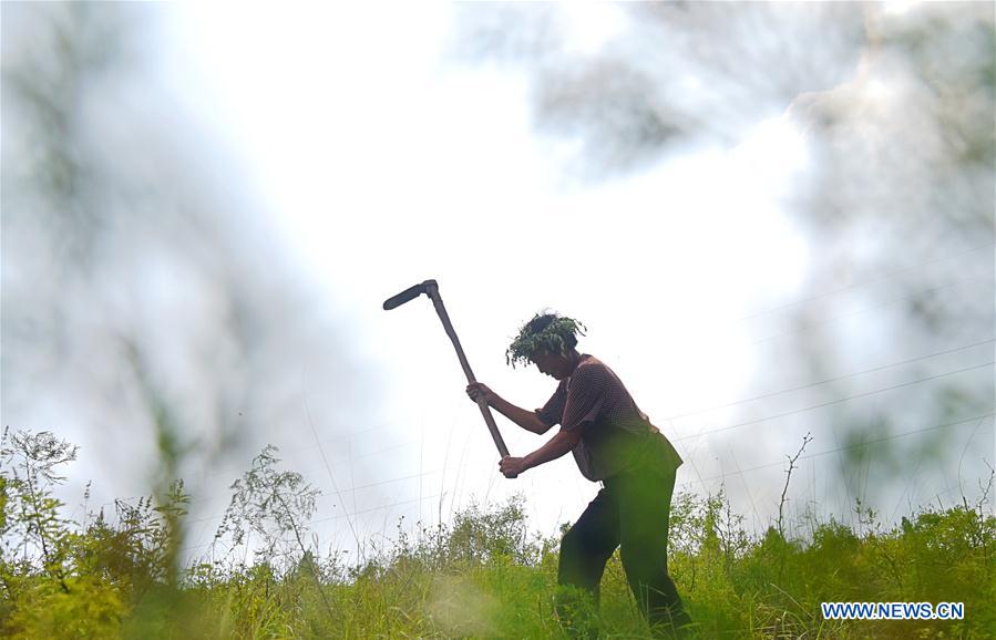 #CHINA-SHANDONG-TREE PLANTING (CN)