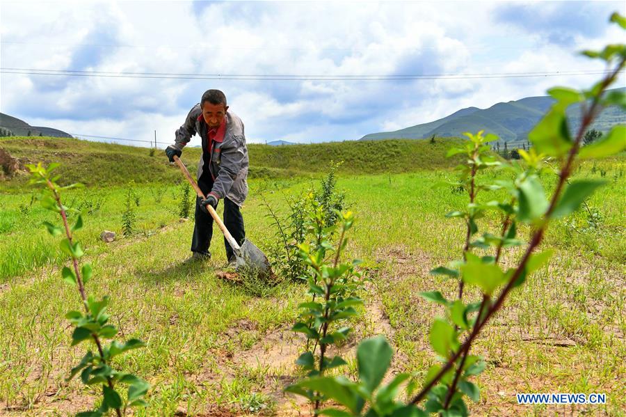 CHINA-SHUOZHOU-ECOLOGICAL PROTECTION (CN)