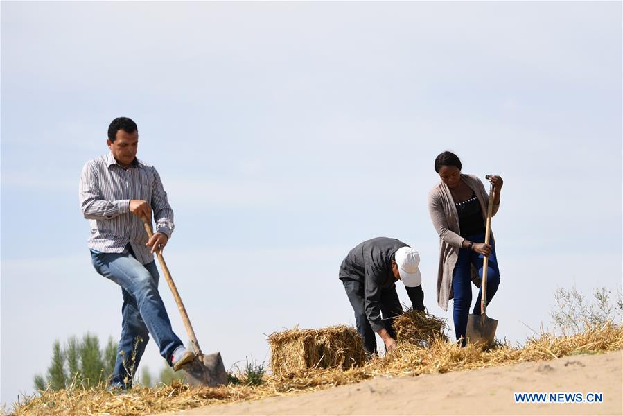 CHINA-GANSU-DESERTIFICATION COMBAT-AFRICAN STUDENT (CN)