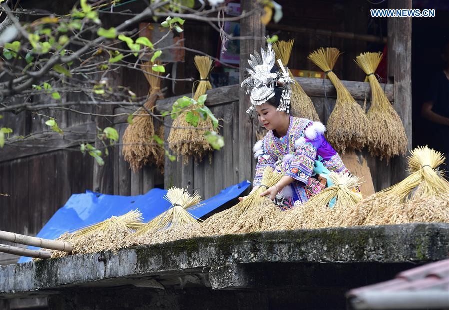 CHINA-AGRICULTURE-HARVEST (CN)