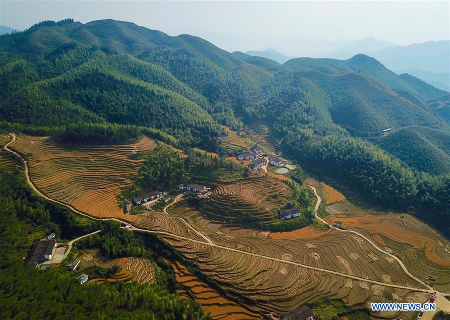 CHINA-JIANGXI-AUTUMN HARVEST(CN)