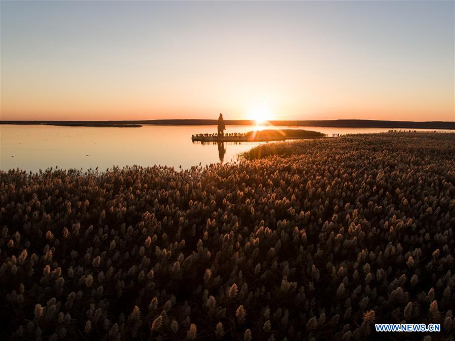 CHINA-INNER MONGOLIA-JUYAN LAKE-SCENERY(CN)