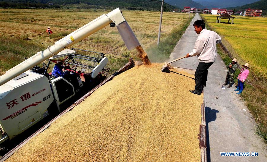 #CHINA-JIANGXI-AGRICULTURE-HARVEST (CN)