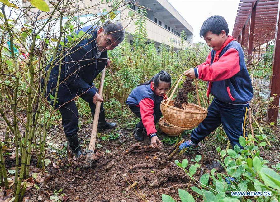 CHINA-ZHEJIANG-TCM-EDUCATION (CN)