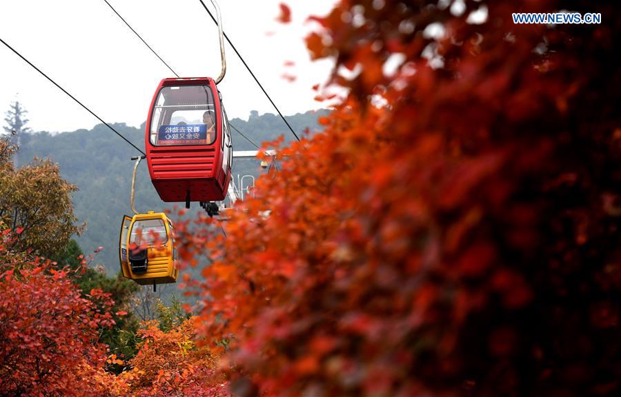 CHINA-BEIJING-BADACHU-AUTUMN SCENERY(CN)