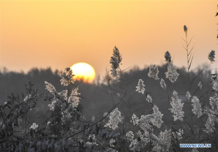 CHINA-XINJIANG-AUTUMN-SCENERY (CN)