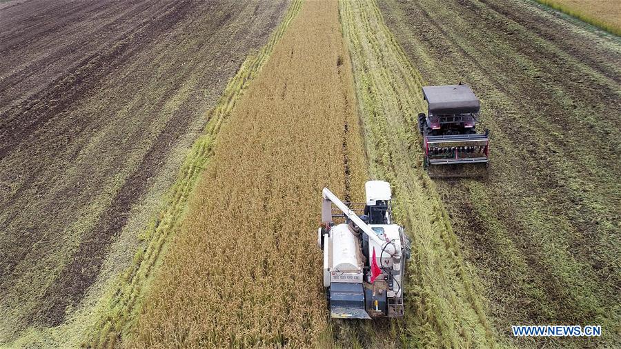 #CHINA-WINTER-FARM WORK (CN)