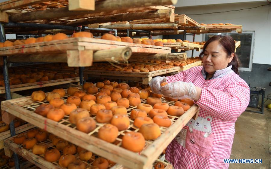 CHINA-GUANGXI-FRUIT INDUSTRY (CN)