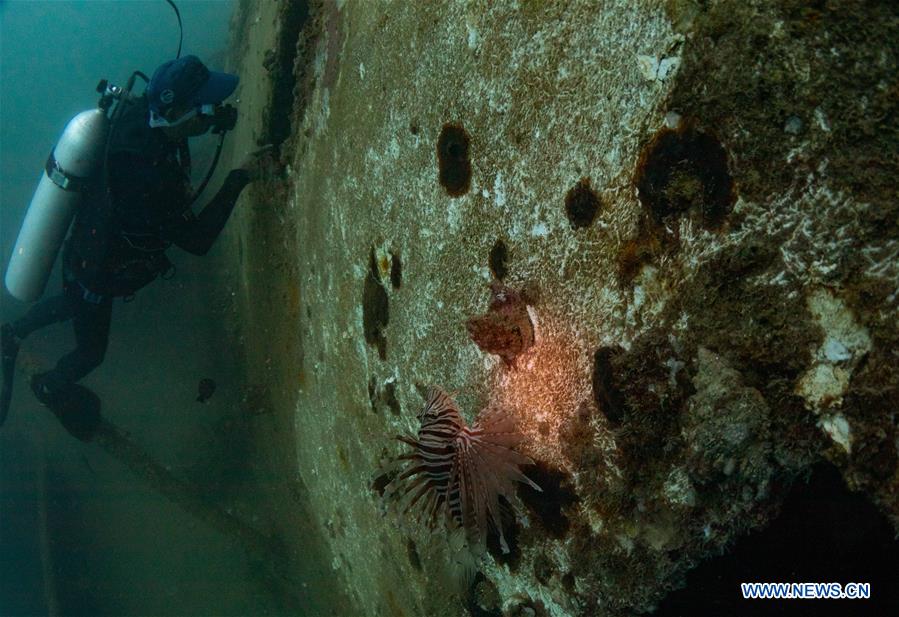 CHINA-HAINAN-DIVING INSTRUCTOR-CORAL REEF RESTORATION (CN)