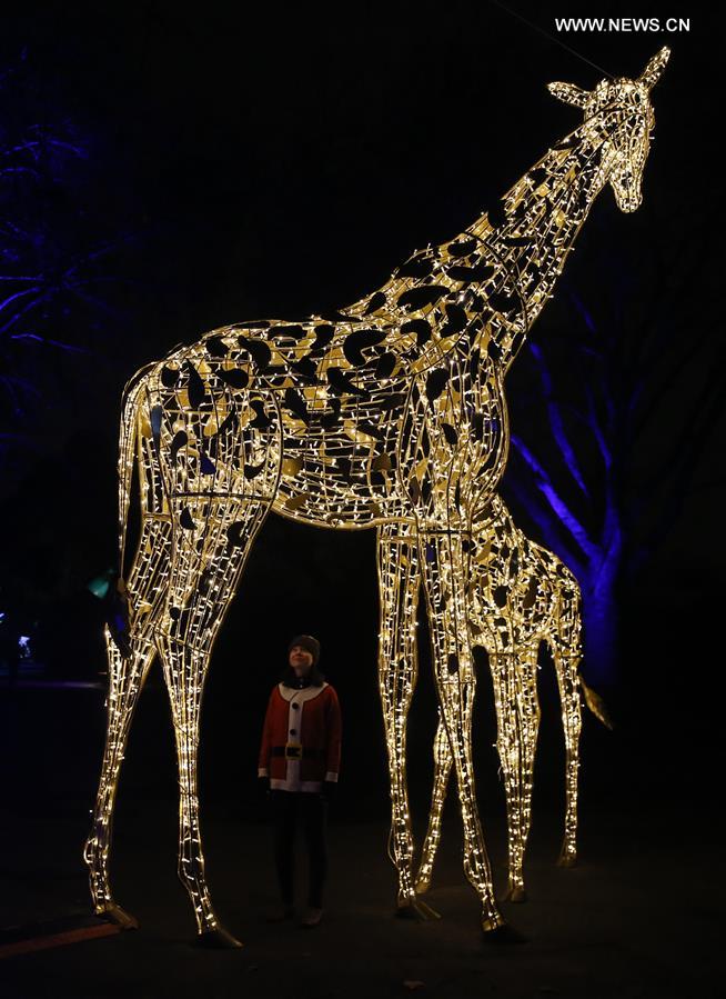 BRITAIN-LONDON-CHRISTMAS AT LONDON ZOO