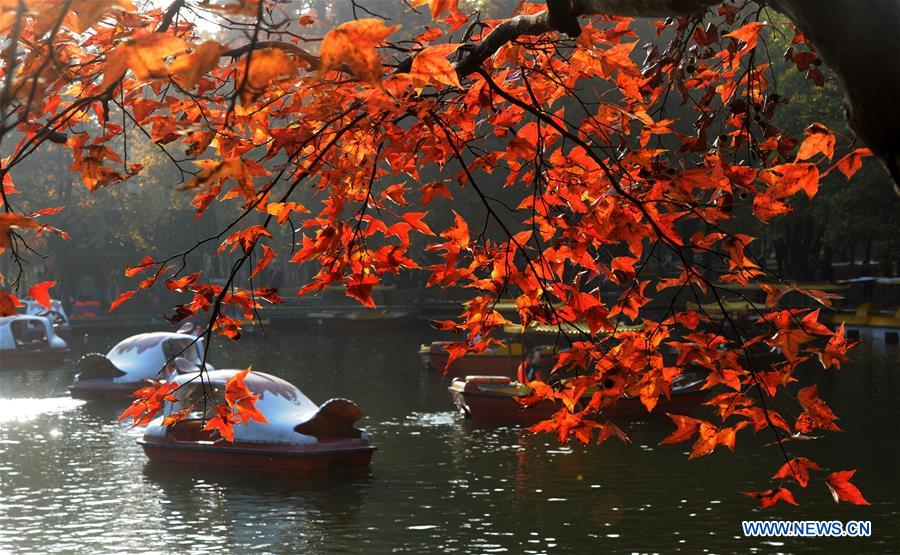 #CHINA-EARLY WINTER-SCENERY (CN)