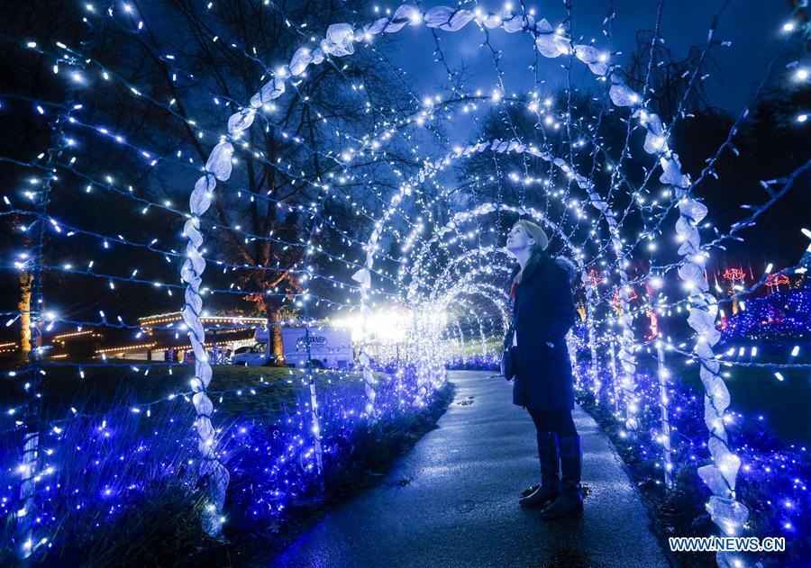 CANADA-VANCOUVER-CHRISTMAS LIGHTS