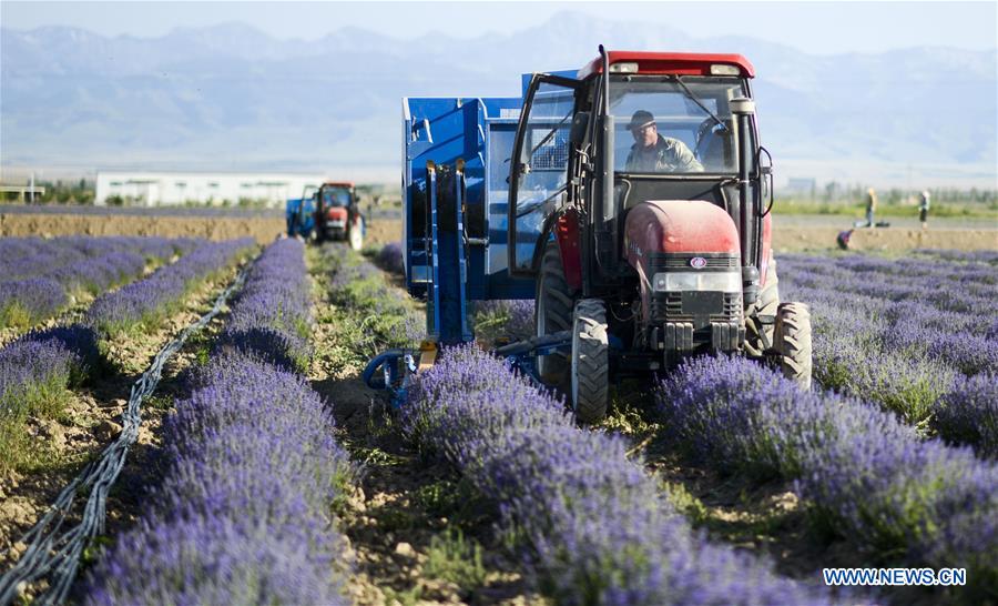 CHINA-MECHANIZED AGRICULTURE (CN)