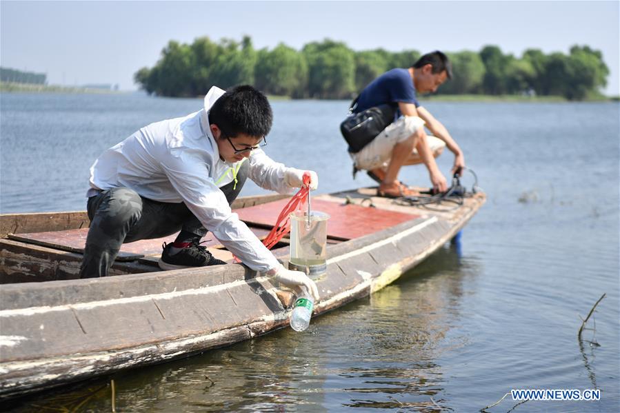 CHINA-HUNAN-DONGTING LAKE-ENVIROMENT PROTECTION