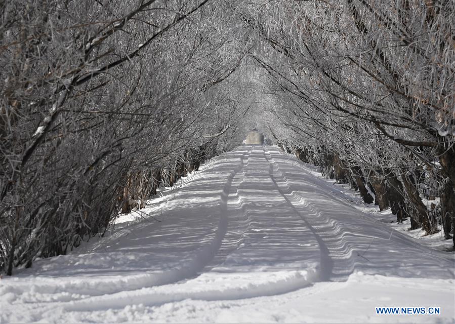 CHINA-TIBET-WINTER-RIME (CN)