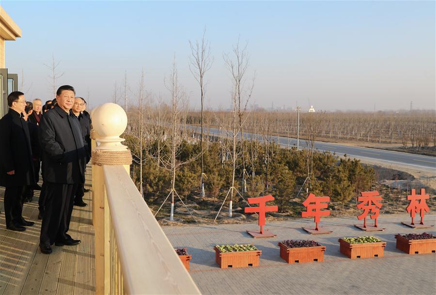 CHINA-HEBEI-XIONGAN-XI JINPING-INSPECTION (CN)