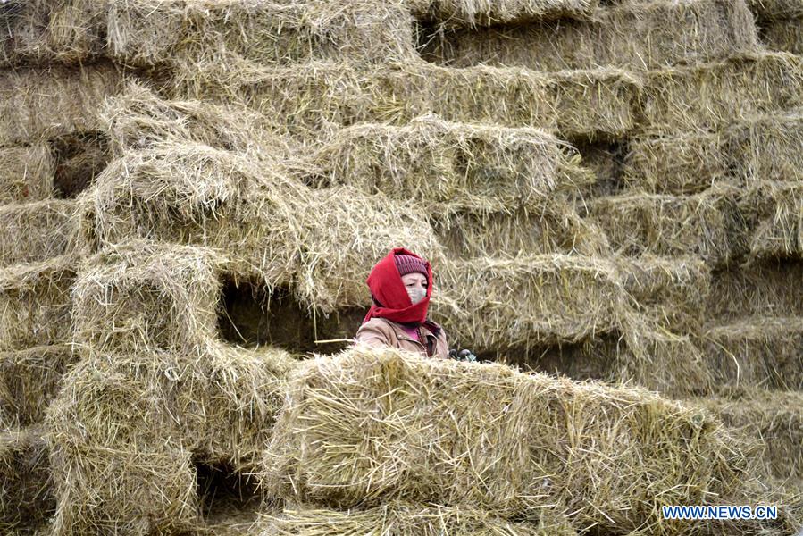 XINHUA PHOTOS OF THE DAY