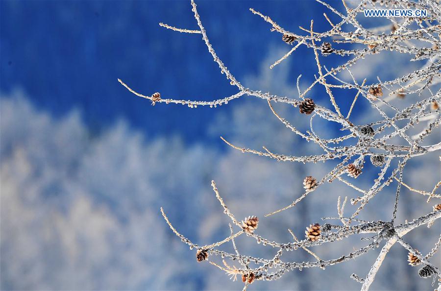 CHINA-XINJIANG-SCENIC SPOT-WINTER SCENERY (CN)