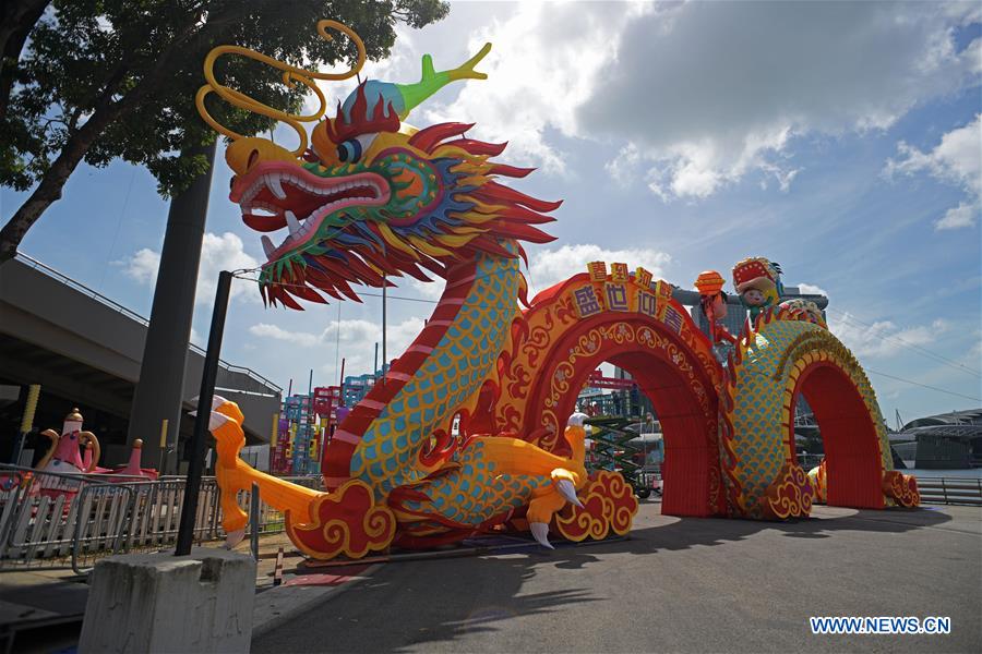 SINGAPORE-NEW YEAR-DECORATION