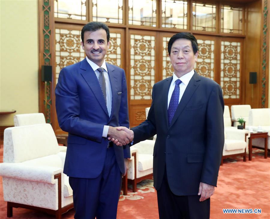 CHINA-BEIJING-LI ZHANSHU-QATARI EMIR-MEETING (CN)