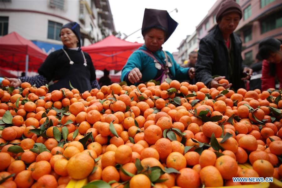 #CHINA-GUIZHOU-SPRING FESTIVAL-PREPARATION (CN)