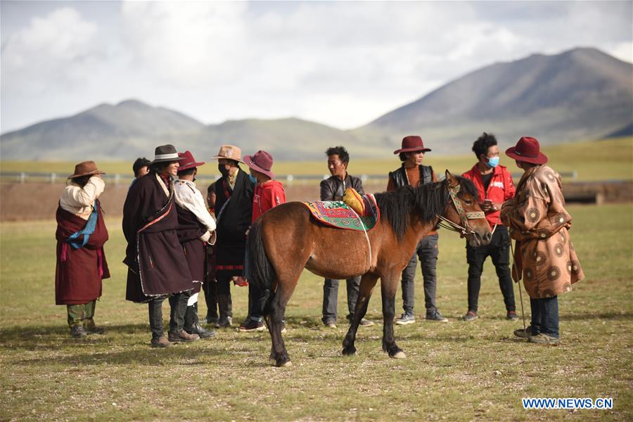 (InTibet) CHINA-TIBET-HORSE (CN)