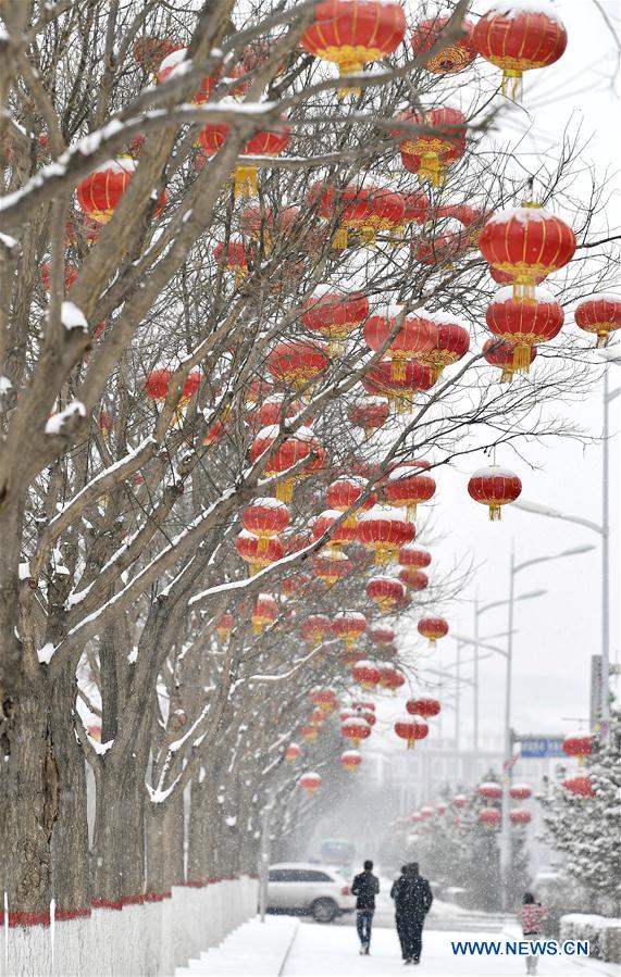 CHINA-NINGXIA-GUYUAN-SNOWFALL (CN)