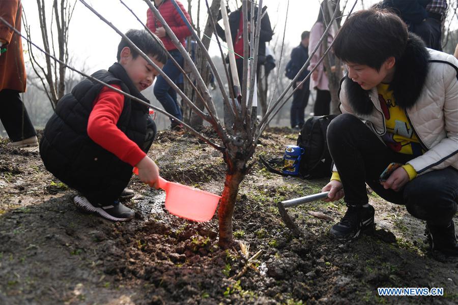 CHINA-HANGZHOU-ARBOR DAY-TREE PLANTING (CN)