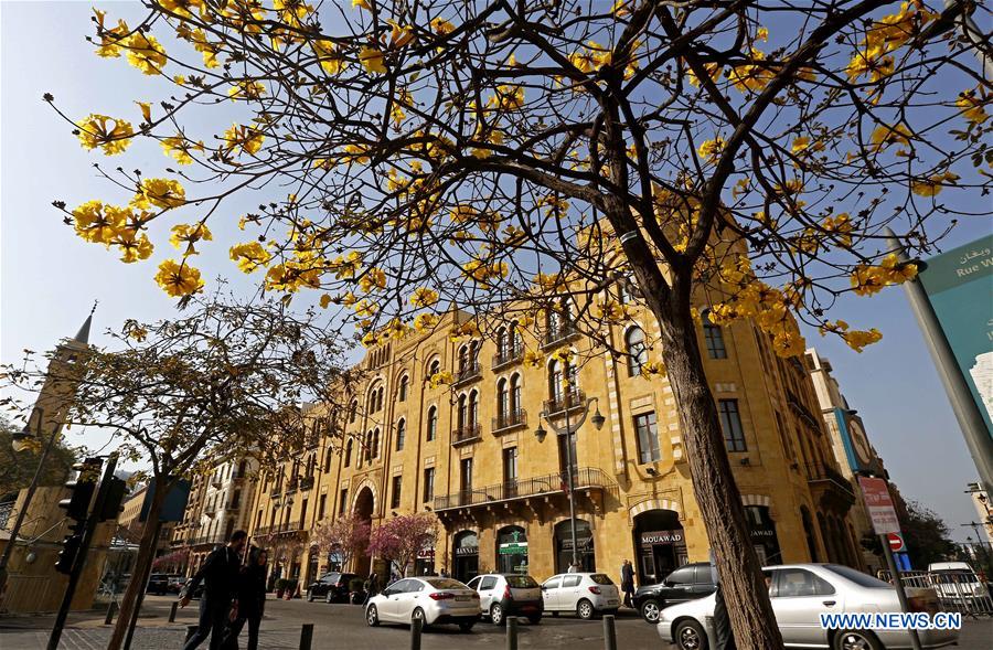 LEBANON-BEIRUT-SPRING-FLOWERS