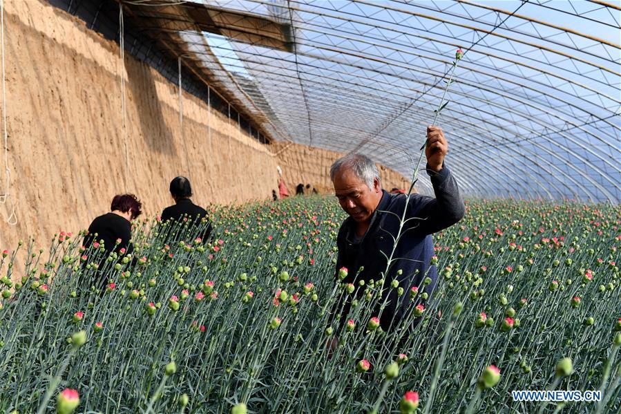 CHINA-SHANXI-HUGUAN-AGRICULTURE (CN)