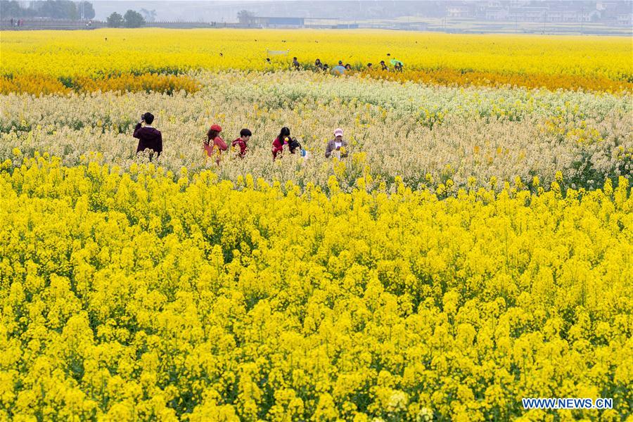 # CHINA-SPRING-SCENERY (CN)